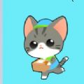 盒盒喵递游戏官方安卓版（Boxrush） v1.0.1