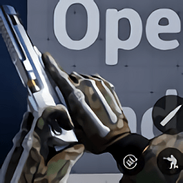 cod19自制版手机版(DY视觉站)v1.6 安卓版