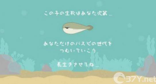 萨卡班甲鱼游戏中文版下载安装图片1