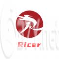 Ricar绝壁悬崖游戏中文版 v1.00.001