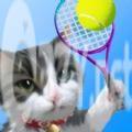 猫咪网球游戏最新版 v1.0