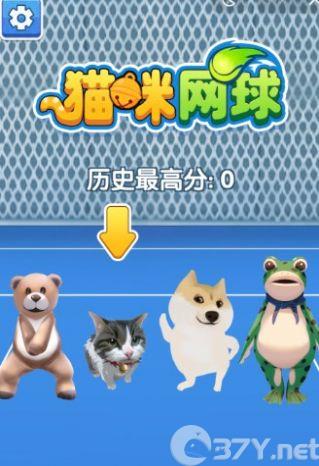 猫咪网球游戏最新版图片1