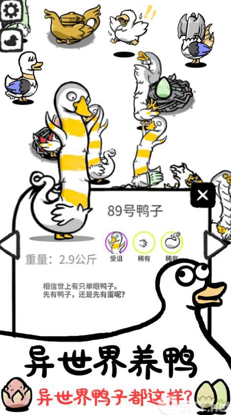 神奇的鸭子游戏免广告下载最新版图片1