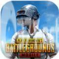 pubg(国际服)手游下载安装 v2.8.0