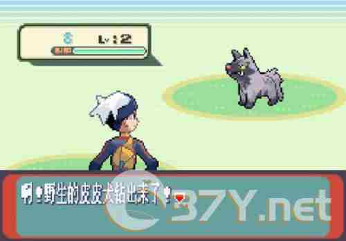 口袋妖怪红宝石中文版