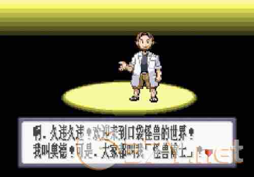 口袋妖怪红宝石中文版