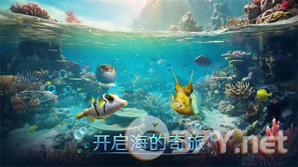 小小水世界(附攻略)