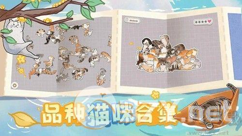 挤在一起的猫猫去广告版