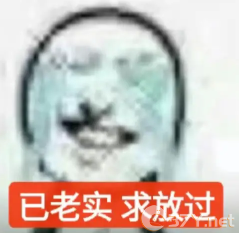 已老实求放过梗介绍
