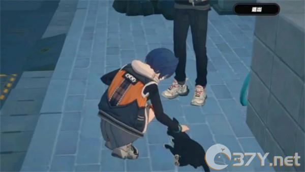 《绝区零》领取小猫方法介绍