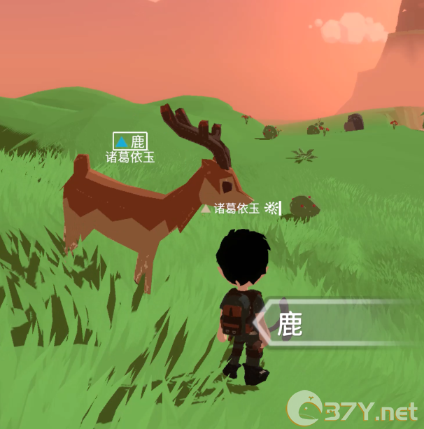 《从零开始：梦境》魔宠养成攻略