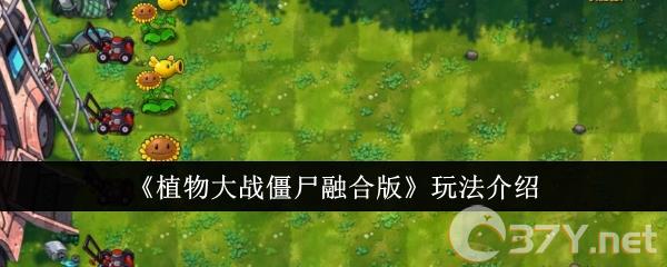 《植物大战僵尸融合版》玩法介绍