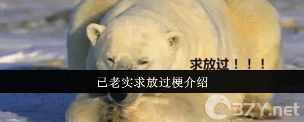 已老实求放过梗介绍
