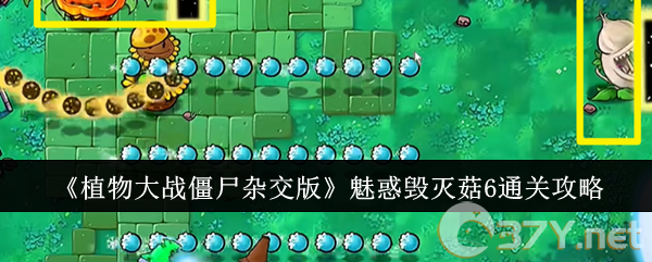 《植物大战僵尸杂交版》魅惑毁灭菇6通关攻略