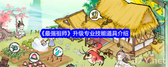《最强祖师》升级专业技能道具介绍