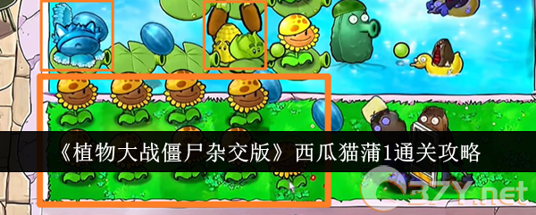 《植物大战僵尸杂交版》西瓜猫蒲1通关攻略