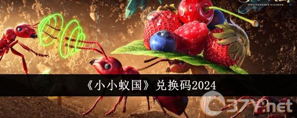 《小小蚁国》兑换码2024