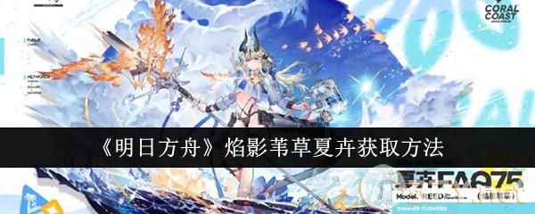《明日方舟》焰影苇草夏卉获取方法