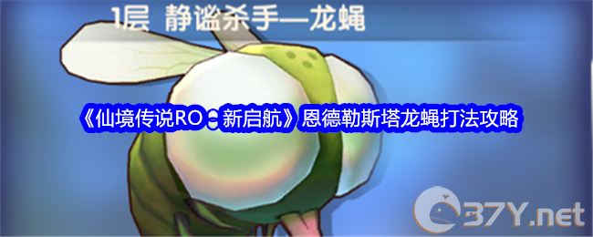 《仙境传说RO：新启航》恩德勒斯塔龙蝇打法攻略