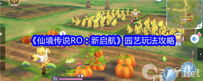 《仙境传说RO：新启航》园艺玩法攻略