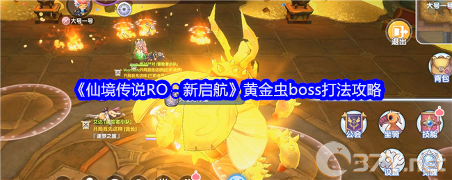《仙境传说RO：新启航》黄金虫boss打法攻略