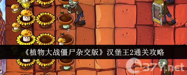 《植物大战僵尸杂交版》汉堡王2通关攻略