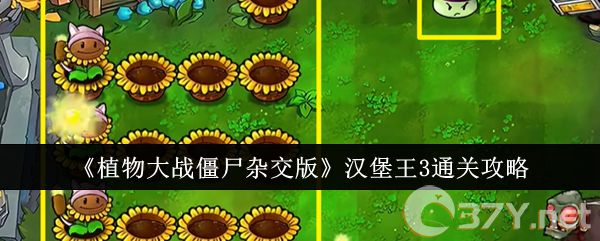 《植物大战僵尸杂交版》汉堡王3通关攻略