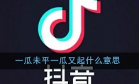 一瓜未平一瓜又起什么意思