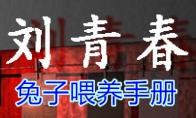《孙美琪疑案-刘青春》五级线索——兔子喂养手册