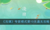 《浅塘》专家模式第10关通关攻略