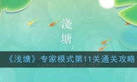 《浅塘》专家模式第11关通关攻略