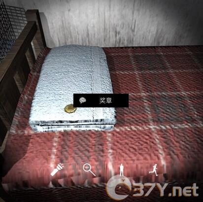 《孙美琪疑案-刘青春》五级线索——奖章