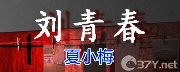 《孙美琪疑案-刘青春》五级线索——夏小梅