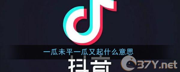 一瓜未平一瓜又起什么意思