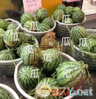 824页大瓜pdf资源分享