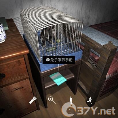 《孙美琪疑案-刘青春》五级线索——兔子喂养手册