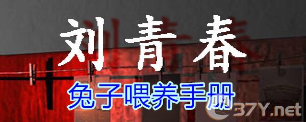 《孙美琪疑案-刘青春》五级线索——兔子喂养手册