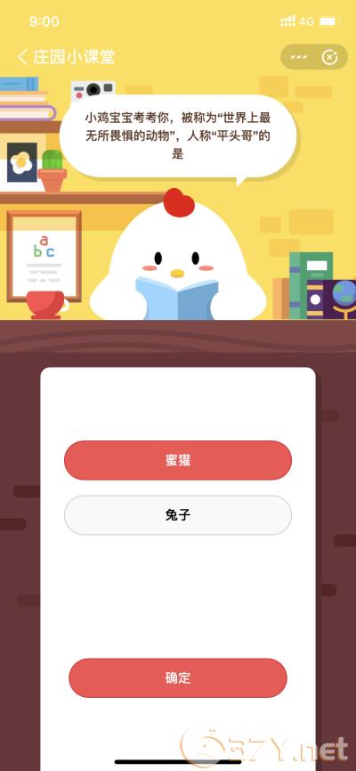 被称为世界上最无所畏惧的动物，人称平头哥的是