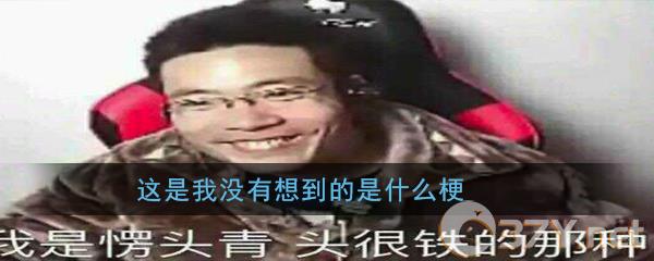 这是我没有想到的是什么梗