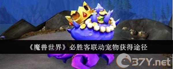 《魔兽世界》必胜客联动宠物获得途径