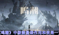 《鸣潮》中级能量袋作用和效果一览
