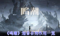 《鸣潮》划音合剂作用一览