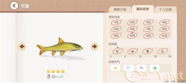 《心动小镇手游》鲃鱼钓鱼方法分享