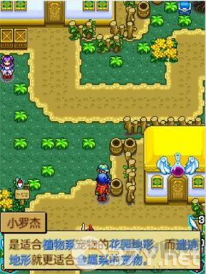 宠物王国4白金上帝版