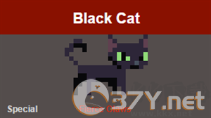 Black Cat