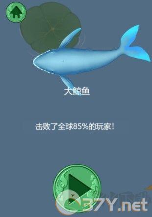 召唤神龙