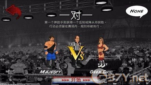 摔跤革命正版