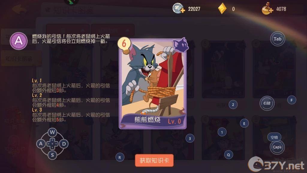 侍卫汤姆知识卡搭配方案1