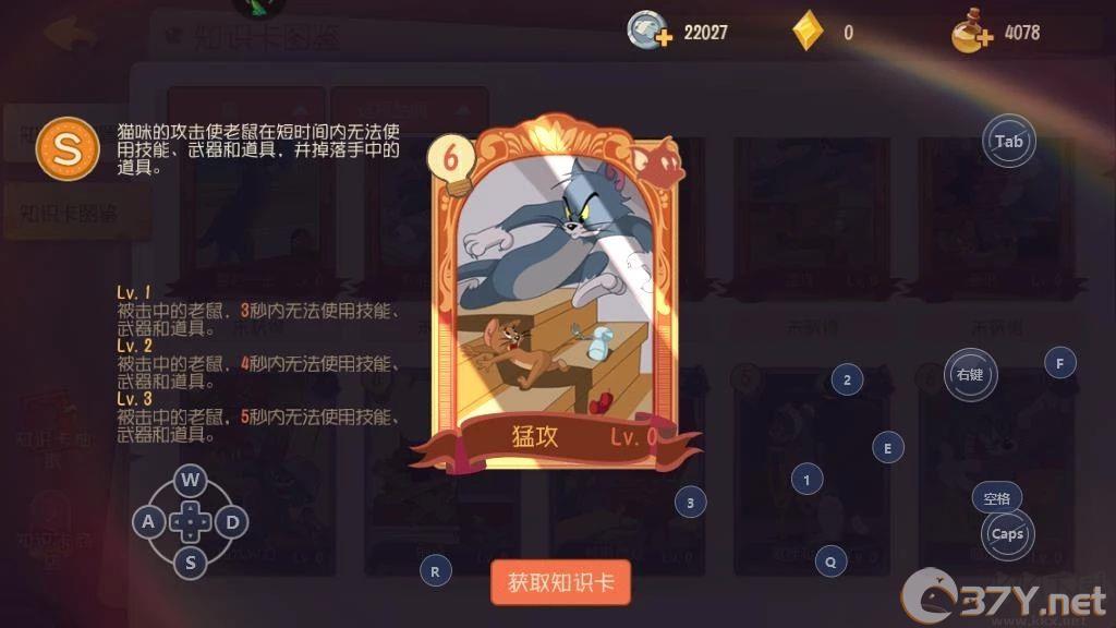 侍卫汤姆知识卡搭配方案2
