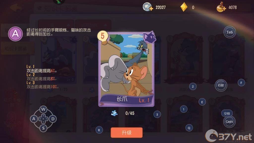 侍卫汤姆知识卡搭配方案3